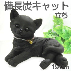 i ݌Ɍ j u L  ( 17.5cm ) LObY G Y a Mtg v[g j zCgf[ o^Cf[