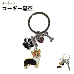 yR[M[ z L[`F[ L[z_[ obO`[ 킢 ANZT[  G G Mtg