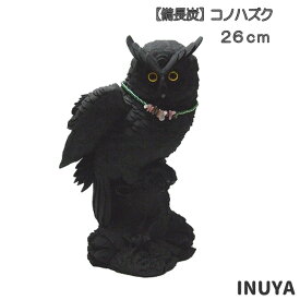 楽天市場 コノハズクの通販 楽天市場 コノハズクの通販