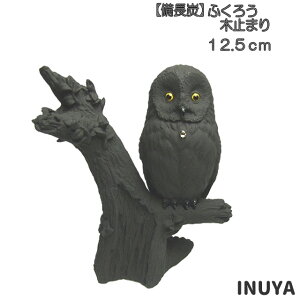 i ݌Ɍ j u tNE y 12.5cm z ӂ낤  ؎~܂  G Y a Mtg v[g j zCgf[ o^Cf[