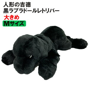 y l`̋g z  ʂ  uh[go[ MTCY G ObY uh[ u a Mtg v[g ybgX NX}X