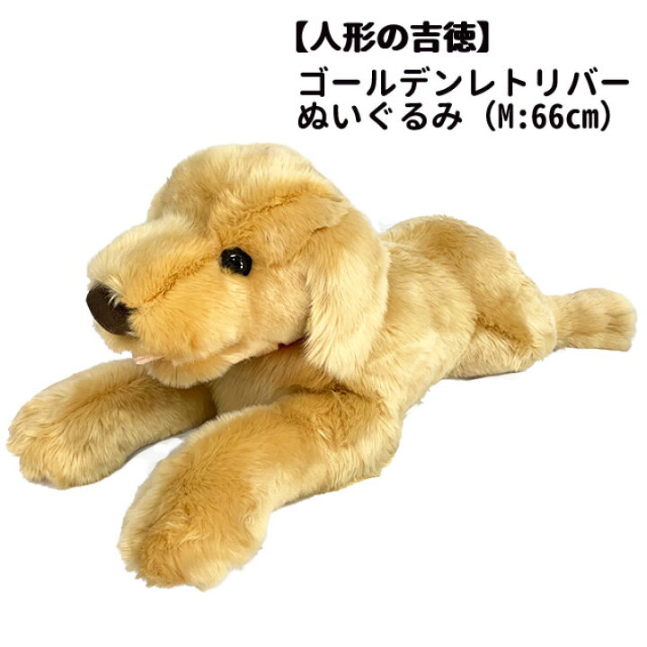 楽天市場 あす楽 人形の吉徳 ぬいぐるみ 犬 ゴールデンレトリバー Mサイズ ゴールデン お誕生日 ギフト プレゼント 犬屋 犬屋楽天市場店