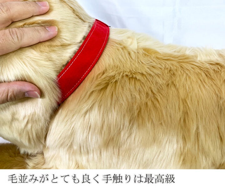 楽天市場】【 人形の吉徳 】 犬 ぬいぐるみ ゴールデンレトリバー L 