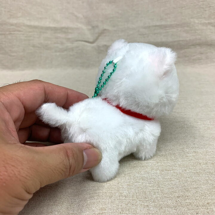 楽天市場 あす楽 ちんまりマンチカン するめ ボールチェーン付き ぬいぐるみ ネコ 白猫 アミューズ 雑貨 お誕生日 ギフト プレゼント 犬屋 犬屋楽天市場店
