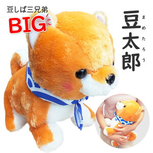  ΎOZ y Y BIG z  F ʂ Č G ObY a Mtg v[g j nEB