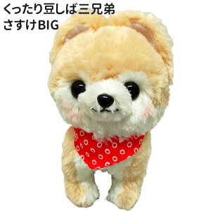 ʂ   OZ Č y  z G ObY a Mtg v[g j nEB