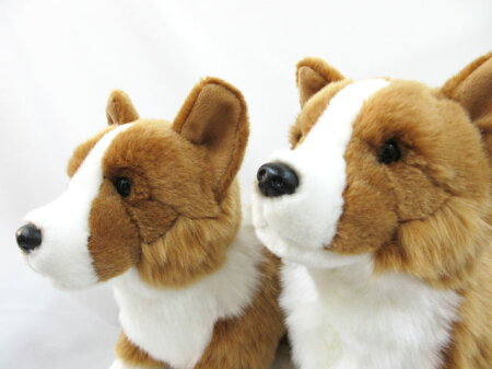 楽天市場 あす楽 コーギー ぬいぐるみ 立or座り 犬 ハイクオリティー おもちゃ 父の日 母の日 ギフト プレゼント 犬屋 犬屋楽天市場店