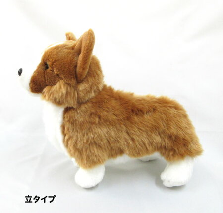 楽天市場 あす楽 コーギー ぬいぐるみ 立or座り 犬 ハイクオリティー おもちゃ 父の日 母の日 ギフト プレゼント 犬屋 犬屋楽天市場店