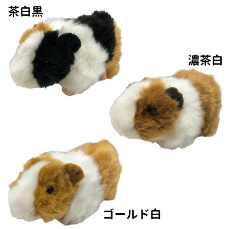 楽天市場 あす楽 モルモット ぬいぐるみ 3種 イングリッシュ 天竺鼠 癒し かわいい ふわふわ ハイクオリティー ねずみ おもちゃ 父の日 母の日 ギフト プレゼント 犬屋 犬屋楽天市場店