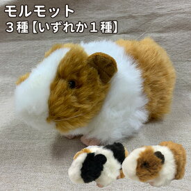 楽天市場 モルモット の ぬいぐるみの通販