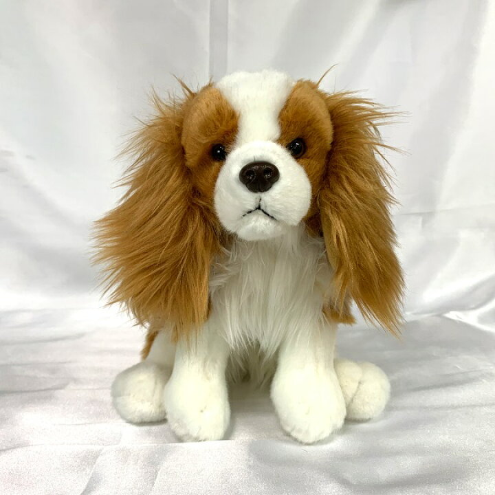 楽天市場 あす楽 キャバリア ぬいぐるみ 座り 犬 おもちゃ お誕生日 ギフト プレゼント 犬屋 お祝い ホワイトデー バレンタインデー 送料無料 犬屋楽天市場店