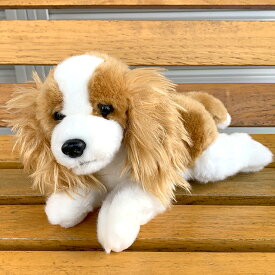 【 あす楽 】 キャバリア 茶白 ぬいぐるみ 伏せ 犬 おもちゃ お誕生日 ギフト プレゼント 犬屋 お祝い
