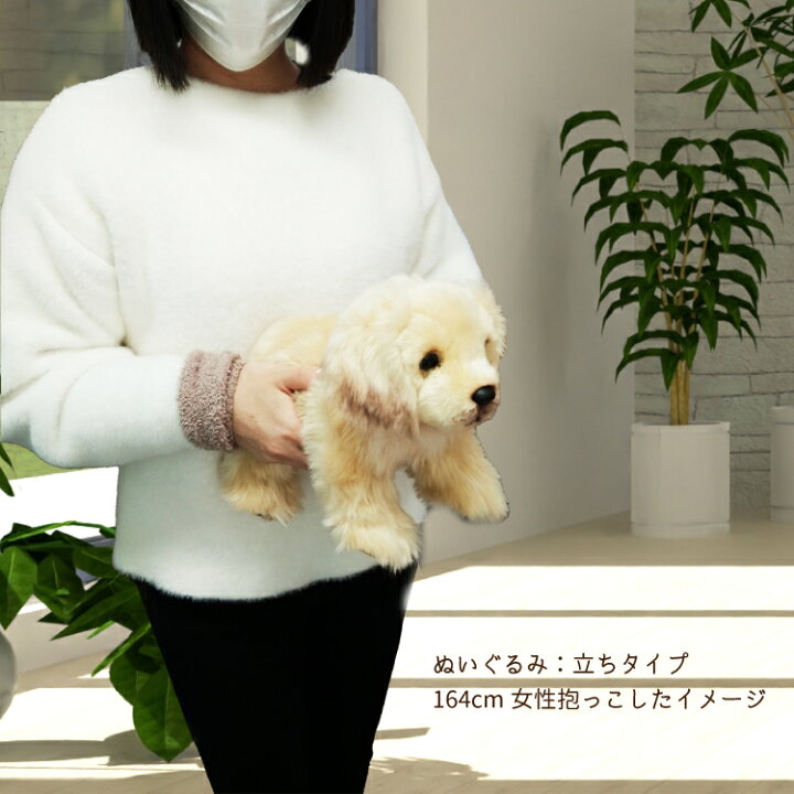 楽天市場 あす楽 キャバリア 茶白 ぬいぐるみ 伏せ 犬 おもちゃ お誕生日 ギフト プレゼント 犬屋 お祝い ホワイトデー バレンタインデー 犬屋楽天市場店