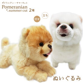 ポメラニアン サマーカット ぬいぐるみ クリーム 白 伏せ 立ち 犬 おもちゃ 雑貨 グッズ お誕生日 ホワイト うす茶 オレンジ 這い お祝い ハロウィン