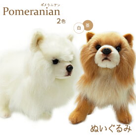 ポメラニアン ぬいぐるみ 犬 おもちゃ 茶 白 雑貨 グッズ 卒業祝 入学祝 こどもの日 母の日 父の日 お誕生日 ギフト お祝い ハロウィン