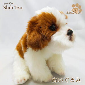 yV[Y[  ʂ݁z   G ObY Əj wj ǂ̓ ̓ ̓ a Mtg j nEB