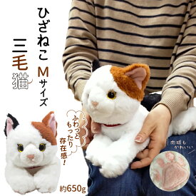 【 あす楽 】 ひざねこ M サイズ 三毛 猫 ぬいぐるみ 【 三毛猫 】 サンレモン 母の日 雑貨 お誕生日 ギフト プレゼント 犬屋 お祝い Mサイズ