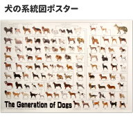 犬の系統図 ドッグジェネレーション ポスター A1サイズ Vol.3 改定版 グッズ いぬさぷり 誕生日プレゼン…