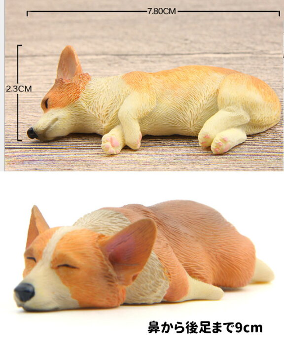 楽天市場 コーギー ネムネム マグネット 7 8ｃｍ 2個セット 置物 インテリア 犬 各種 雑貨 グッズ ポリレジン 犬屋 犬屋楽天市場店