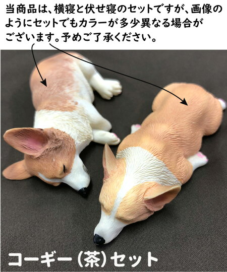 楽天市場 コーギー ネムネム マグネット 7 8ｃｍ 2個セット 置物 インテリア 犬 各種 雑貨 グッズ ポリレジン 犬屋 犬屋楽天市場店