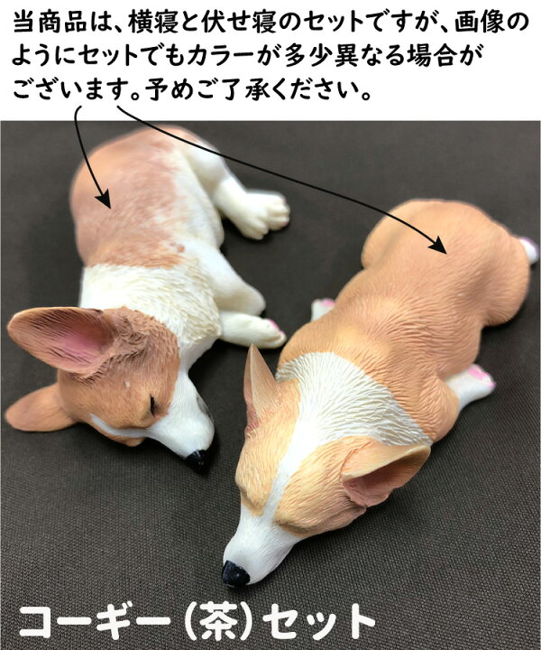 楽天市場 あす楽 コーギー ネムネム ミニミニ マグネット 2個セット 伏せ 横向き 約5cm前後 置物 インテリア 犬 雑貨 グッズ ポリレジン 各セット 犬屋 ギフト プレゼント オフ会 犬友 友だち 誕生日 プチ 可愛い 犬屋楽天市場店