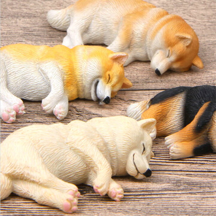 楽天市場 柴犬 ネムネム マグネット 8 2ｃｍ 置物 インテリア 犬 各種 雑貨 グッズ ポリレジン 犬屋 犬屋楽天市場店