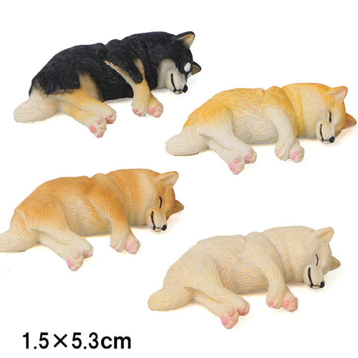 楽天市場 あす楽 柴犬 ネムネム ミニミニ マグネット 横向き 置物 インテリア 犬 各種 雑貨 グッズ ポリレジン 犬屋 ギフト プレゼント オフ会 犬友 友だち 誕生日 プチ 可愛い 犬屋楽天市場店