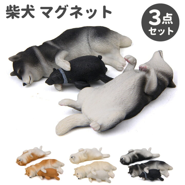 楽天市場 柴犬 ネムネム マグネット 仰向け 横寝 ぬいぐるみセット 8 2ｃｍ 置物 インテリア 犬 各種 雑貨 グッズ ポリレジン 犬屋 犬屋楽天市場店