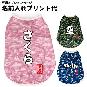 yO ObY fUCvgz  FULL COOL  ^Ngbvp tN[ O vg yPƍwsz   av[g ybg