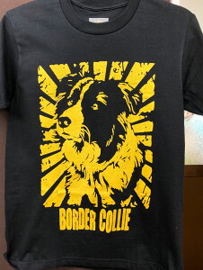 TVc  {[_[R[ ObY YEfB[X fUC CXg  yS~Lz I[i[ ykingdogsz