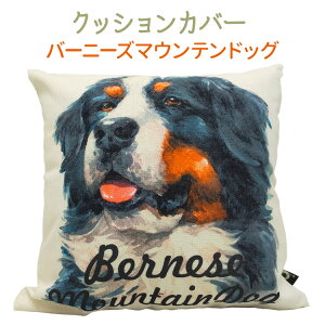 �N�b�V���� �J�o�[ �̂� 45×45cm �o�[�j�[�Y �y �w�i�F�� A�^�C�v �z �G�� �O�b�Y �o�[�j�[�Y�}�E���e���h�b�O kingdogs �k���f�U�C��