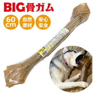  ^ ^p 傫 rbOTCY CK   K 60cm S S F  Rr zlK BIGTCY ObY N Rh  ̌N 