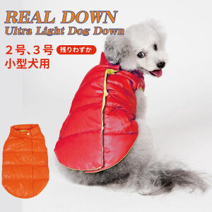 y A_E z LLP REAL DOWN _ER[g { tFU[H A _EWPbg ObY ΍ H ~ y   ~ xXg g h ybg SNS CX^f m 