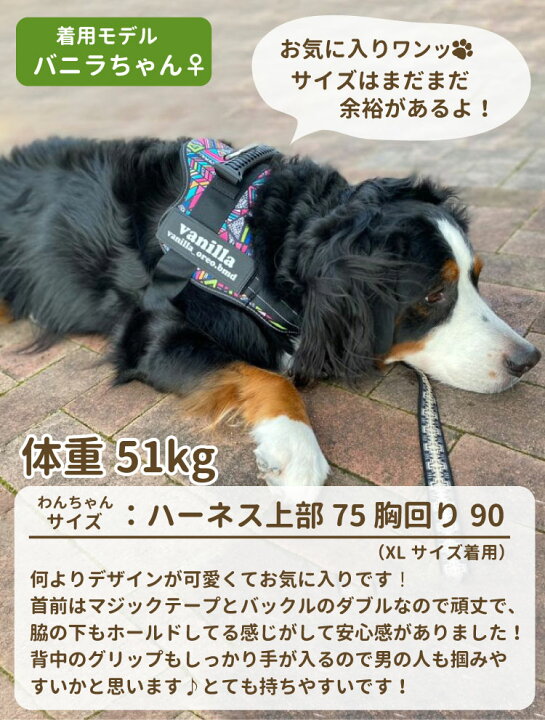 楽天市場】名前 入り 犬 ハーネス ハンドル付き 大型犬 特大型犬用 L 