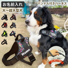 【名前入れ グッズ ハンドル付き ハーネス 大型犬 特大型犬用 L～XLサイズ】 胴輪 オリジナル こだわり ネームタグ （ゴールデンレトリバー・ラブラドールレトリーバー などに）