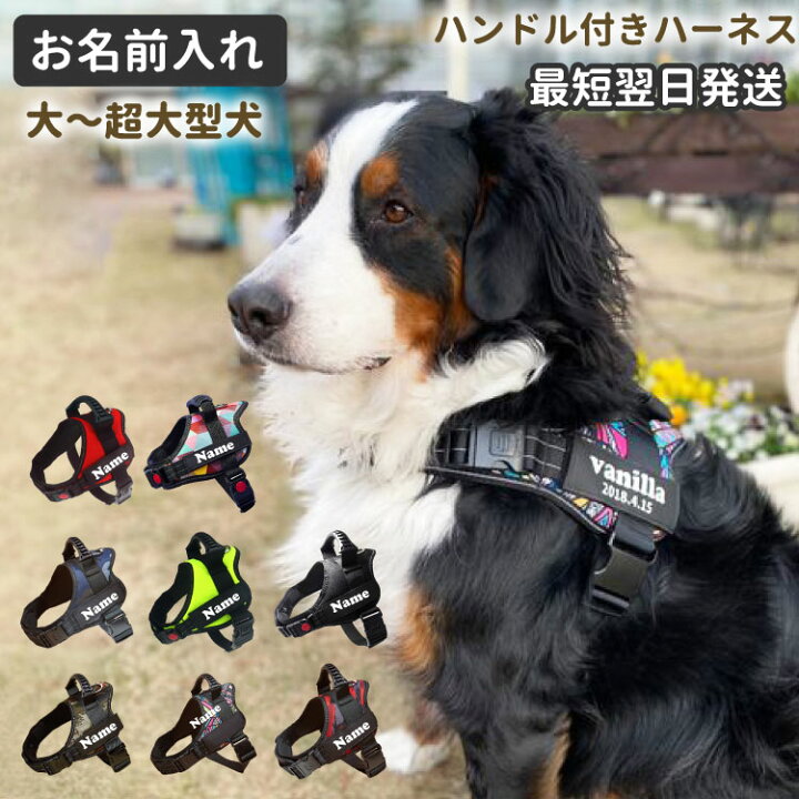 楽天市場】名前 入り 犬 ハーネス ハンドル付き 大型犬 特大型犬用 L 