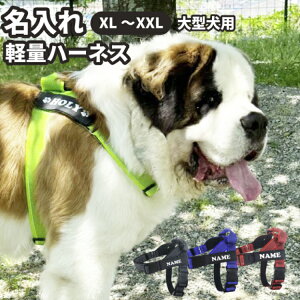 ݌Ɍ!y   y nht n[lX XL`XXLTCY z G ObY ^p  IWi l[^O iZgo[i[hEO[gsj[Y ȂǂɁj