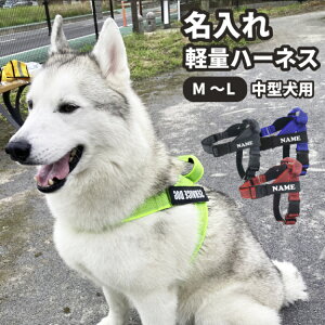 ݌Ɍ!y   nht y n[lX M`LTCY z G ObY ^p  IWi l[^O i{[_[R[ES[fgo[Euh[g[o