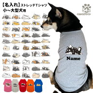 【名入れ 犬服 のびのび ストレッチ Tシャツ くたいぬ (カラー) デザイン】 小型犬 中型犬 大型犬用 オリ…