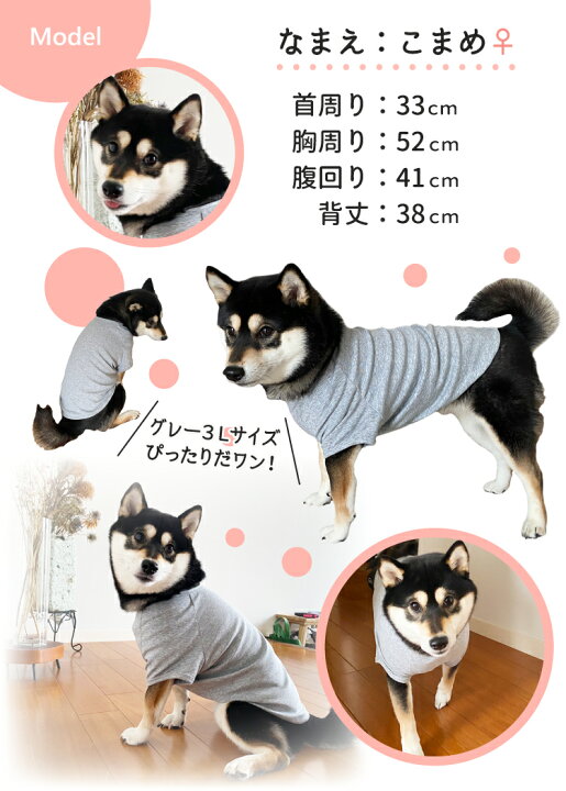 楽天市場】【犬服 おもしろ コメント のびのび ストレッチ Tシャツ 