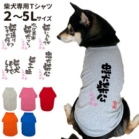 【犬服 柴犬 専用 おもしろ コメントデザイン のびのび ストレッチ Tシャツ】 中型犬用 オリジナル グッズ かわいい かっこいい 部屋着 お散歩 面白コメント 犬屋 inuya