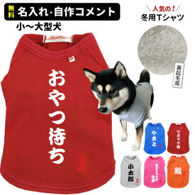 【 在庫限り 名入れ 犬服 エアバルーン Tシャツ 筆文字 自作コメント 】 小型犬 中型犬 大型犬 ドッグウェア かっこいい ミリタリー 部屋着