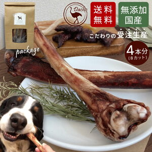 y  Y Y _`E H{[ 4{ N[֔zz^ ^   N S S t[h ybg hbOt[h K f^PA d 傫 AM[ ObY