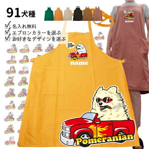 y  I[i[ J[Gv 傢 z G ObY e O Y fB[X