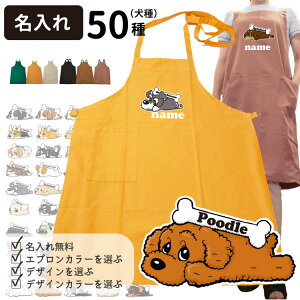 y  I[i[ J[Gv  z G ObY e O Y fB[X iČ R[M[ ViEU[ t`uhbO pO v[h |jA S[f