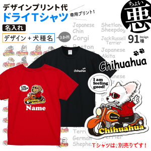 hCTVc p y  fUCvg z 傢 fUC ʃvg wʃfUC |Cg iČ R[M[ ViEU[ t`uhbO pO v[h |