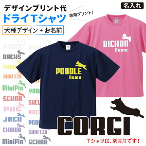 hCTVc p y  fUCvg z WsOhbO fUC Oʃvg iČ R[M[ ViEU[ t`uhbO pO v[h |jA S[f