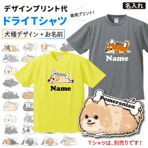 hCTVc p y  fUCvg z  fUC Oʃvg iČ R[M[ ViEU[ t`uhbO pO v[h |jA S[fg[