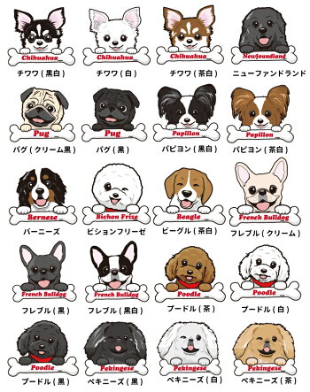 楽天市場 名前入れ ポーチ セット ハッピー デザイン 犬屋 ブランド メンズ レディース ルームウェア コットン フラット Box プレゼント ギフト 筆箱 化粧ポーチ コスメ 収納 かわいい 犬柄 犬イラスト プードル ポメラニアン フレブル 柴犬 ゴールデン ビション