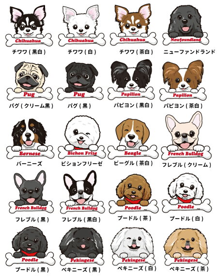 楽天市場 名前入れ 子供 Tシャツ 半袖 ハッピー デザイン オリジナル 各種 犬屋 ブランド Kids Boys Girls お誕生日 ギフト お祝い 敬老の日 クリスマス 送料無料 犬屋楽天市場店